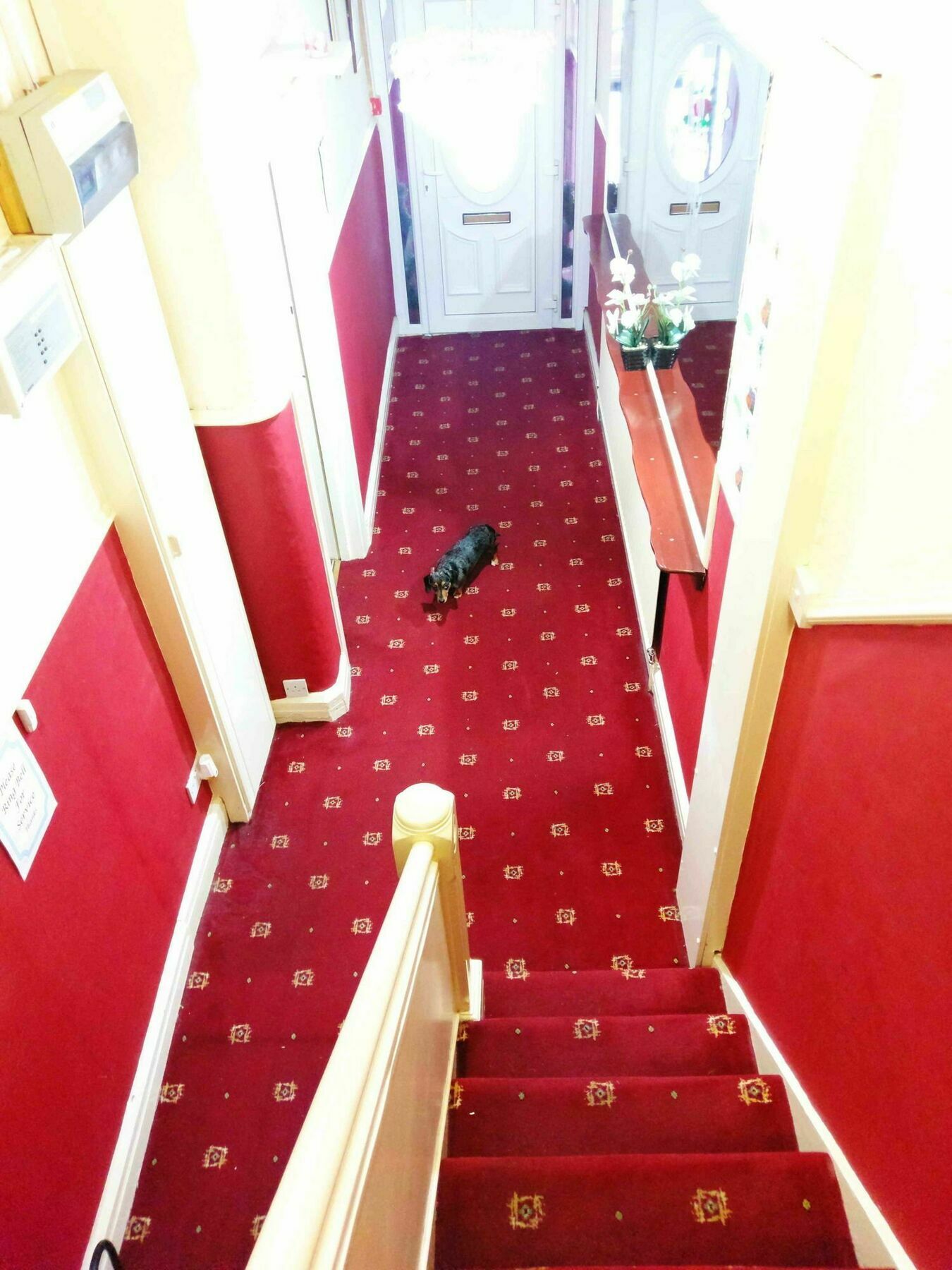 Ringbane House Bed & Breakfast Blackpool Luaran gambar